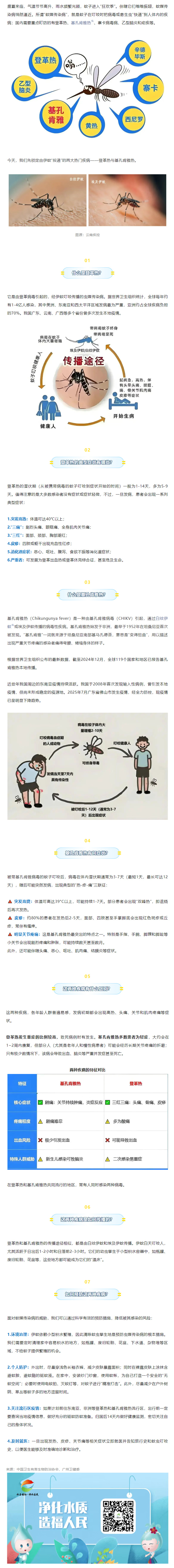基孔肯雅热3_副本.jpg